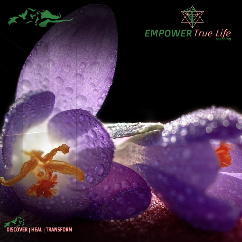 Powerful Articles & Latest News by 9 Spring flower